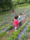IMG-20180625-WA0032.jpg